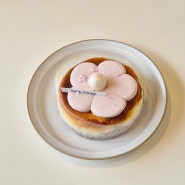 2024년 3월 마지막 주, 4월 일상 1 - 범어사 카페 셀라스 벚꽃 치즈 케이크, 증명사진