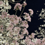 울산여행 울산 벚꽃명소 작천정 벚꽃길 벚꽃축제와 도깨비도로