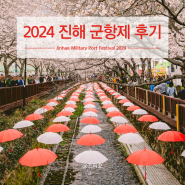 진해 군항제 2024 실시간 벚꽃축제 사진 : 여좌천 로망스다리 경화역