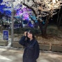 과천 경마공원 렛츠런파크 벚꽃야경 밤 벚꽃 축제