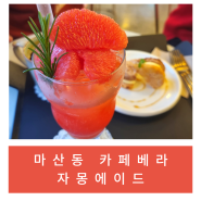 [김포/내돈내산] 마산동 카페 베라(자몽은 다 맛있다)