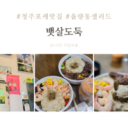 청주 샐러드 뱃살도둑 율량동 포케 맛집