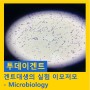 겐트대생의 실험 이모저모 - Microbiology 실습소개