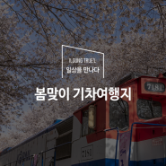 봄맞이 기차여행지 추천 Best 3