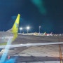진에어 세부-인천 탑승기 LJ028 @ 세부막탄공항