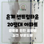 경기도 시흥 은계센트럴타운 아파트 결로로 인한 곰팡이벽지 실크 부분도배