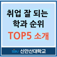 취업 잘 되는 학과 순위, TOP5 소개
