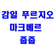 감일 푸르지오 마크베르 무순위 사후 줍줍 부부동시 청약 등