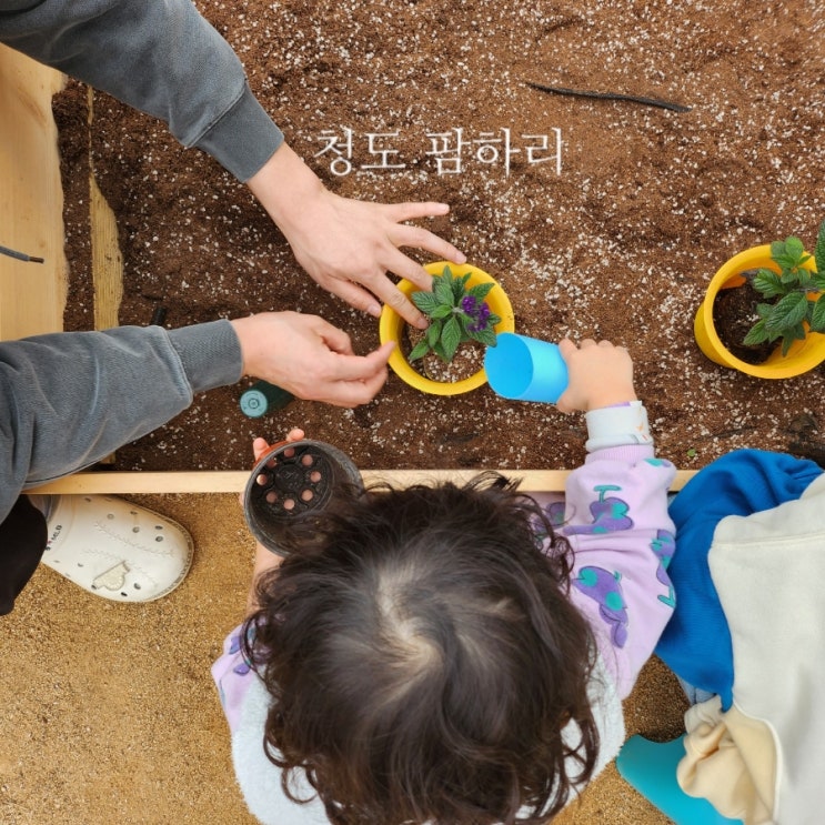 청도 '팜하리' 아이랑 농촌체험카페