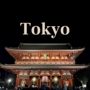 도쿄 여행 셋째날: 아사쿠사 (갓파바시 주방도구거리, 센소지), 롯폰기 이자카야 (우오신 노기자카, 토리바카 롯폰기)