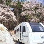 벚꽃 캠핑에서 즐기는 11시간 먹방(카라반 C4) ll 청도 브리즈힐 캠핑장