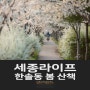 [세종라이프] 한솔동 봄 산책