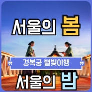 봄밤, 꽃길을 우리 함께 걸어 볼까, 경복궁 별빛야행, 입장료, 행사시간, 위치, 정보, 1차예매는 끝났다, 2차 예매에 집중하랏! 서울의 봄밤 시리즈#1