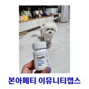 강아지 초유분말 강아지 면역력 영양제 본아페티 이뮤니티캡스♡