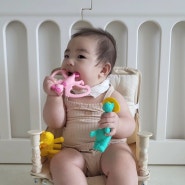 이앓이 해소 방법, 앙파파 공룡 치발기 아기 장난감 선물 + 후기 사진