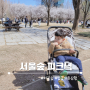 서울숲 피크닉 (벚꽃 개화, 놀거리, 주차장, 사슴) 아기랑 갈만한곳