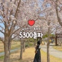 꽃길 전문 멘토 뉴카인드 후마미 [ 5300만 돌파요 ]🌸