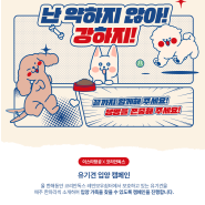 이스타항공 x 코리안독스 유기견 입양 캠페인