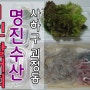 [배달/명진수산] 1인활어회 사하구괴정동