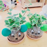 서울 방배초등학교 유치원 폼폼 동물 토피어리만들기 반려 식물 원예체험 수업