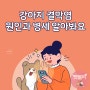 강아지 결막염 원인과 병세 알아봐요