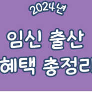 2024 청룡해 임산부 혜택 총정리