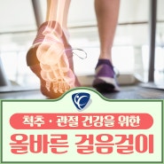 [척추 관절 치료는 서울예스병원] 척추 · 관절 건강을 위한 올바른 걸음걸이 🚶♂️🚶