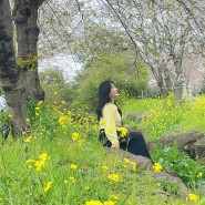 제주도 유채꽃 벚꽃 명소 예래 생태공원 길게 이어진 산책로