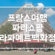 프랑스 여행 파리 쇼핑 기념품 라파예트 백화점 3J 할인 기간 전망대