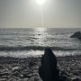 [서산가볼만한곳] 황금산 : 코끼리바위 윤슬이 이쁜 몽돌해변 서산 9경