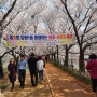 제 9회 양평동 동행하는 벚꽃-황톳길 축제