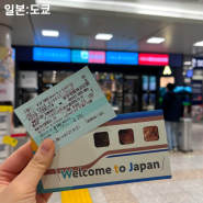 도쿄 나리타 익스프레스 시간표 넥스 가격 할인 주의사항 나리타공항에서 시부야 가는법