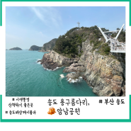 부산 송도용구름다리, 송도암남공원 - 바다위의 절경과 산책