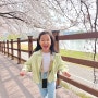 봄 꽃, 전남 벚꽃, 벚꽃맛집 / 순천 동천 벚꽃길