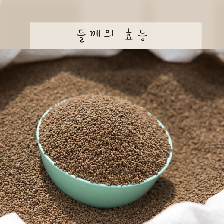 들깨의 효능 들깨 들깨가루 효능 : 산패 막는 보관 및 먹는법 : 네이버 블로그