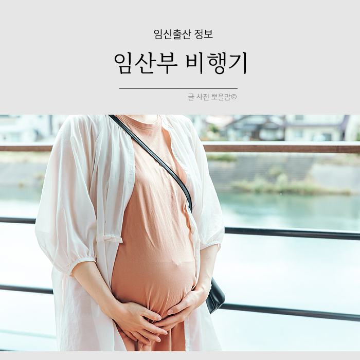 임산부 비행기 탑승 언제부터 준비물 혜택 알아보기 : 네이버 블로그