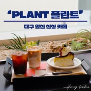 [ 앞산카페 ] 주택개조카페 인테리어가 예쁜 #PLANT #플란트