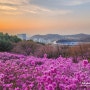 부천 원미산 진달래 축제가 끝나고 더욱 좋았던 오늘(feat. 삼성 갤럭시 S22 울트라)