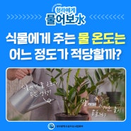 [청라에게 물어보水] 식물에게 주는 물 온도는 어느 정도가 적당할까?