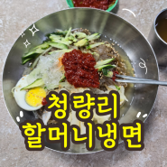 서울 경동시장 맛집 맛있게 매운 청량리 할머니 냉면 (서울 3대 매운 냉면)