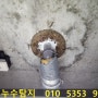 제2995회차 의정부 민락동 탑석드림캐슬아파트 송산주공4단지 욕실천장 누수탐지 해결