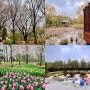 한국도로공사 전주수목원 4월 꽃구경 볼거리