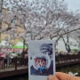 봄의 왈츠! 진해 벚꽃 군항제(2024,3,30)
