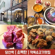 당산역 소백탄 고기집 깍뚝소고기맛집 꽃소갈비살 당산고기맛집인정
