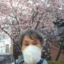 [1년 전 오늘] 2020 제우스 ))) 봄 꽃 구경 사진