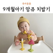 9개월아기 이앓이 앙쥬 치발기 사용시기 추천 후기