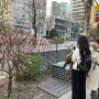 [한장의사진] 안국역 길가에 핀 벚꽃, 봄이 오는 소리..마치, 홑이불처럼 사각거리는..
