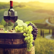 생산량 세계 최고의 와인 대국-이탈리아 2. 토스카나