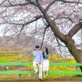 경남 남해 4월가볼만한곳, 다랭이마을 주차 벚꽃 유채꽃 포토존