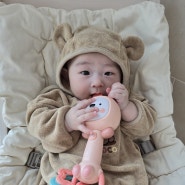 4개월아기장난감추천 해피플레이 흔들어 멜로디봉 오감발달장난감